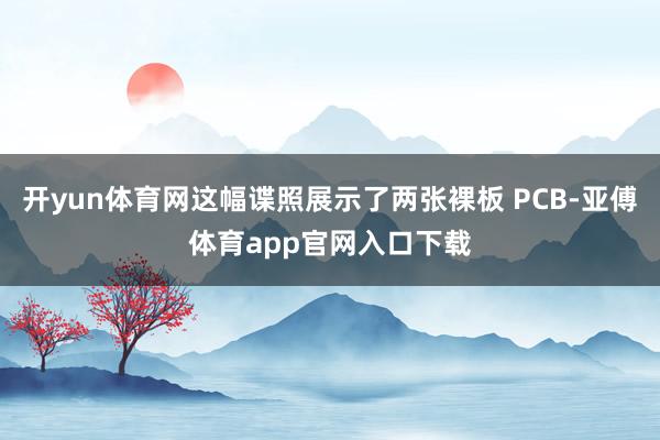开yun体育网这幅谍照展示了两张裸板 PCB-亚傅体育app官网入口下载