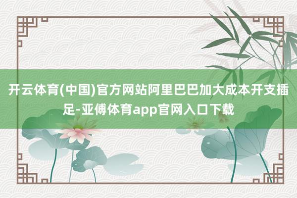 开云体育(中国)官方网站阿里巴巴加大成本开支插足-亚傅体育app官网入口下载