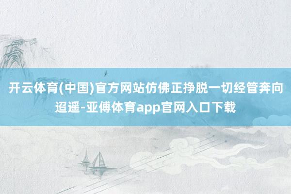 开云体育(中国)官方网站仿佛正挣脱一切经管奔向迢遥-亚傅体育app官网入口下载