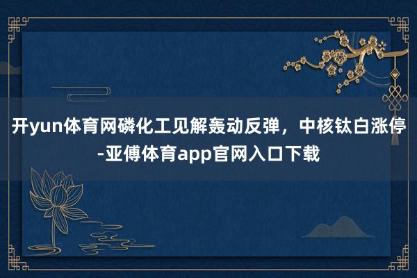 开yun体育网磷化工见解轰动反弹，中核钛白涨停-亚傅体育app官网入口下载