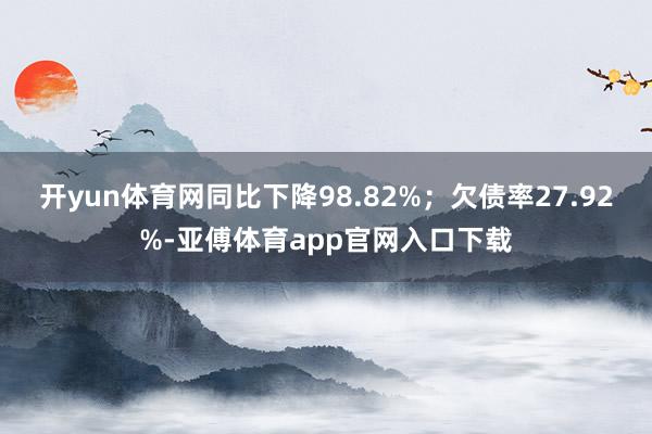 开yun体育网同比下降98.82%；欠债率27.92%-亚傅体育app官网入口下载
