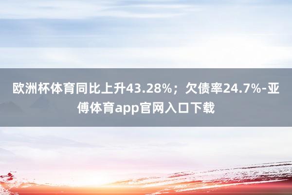 欧洲杯体育同比上升43.28%；欠债率24.7%-亚傅体育app官网入口下载